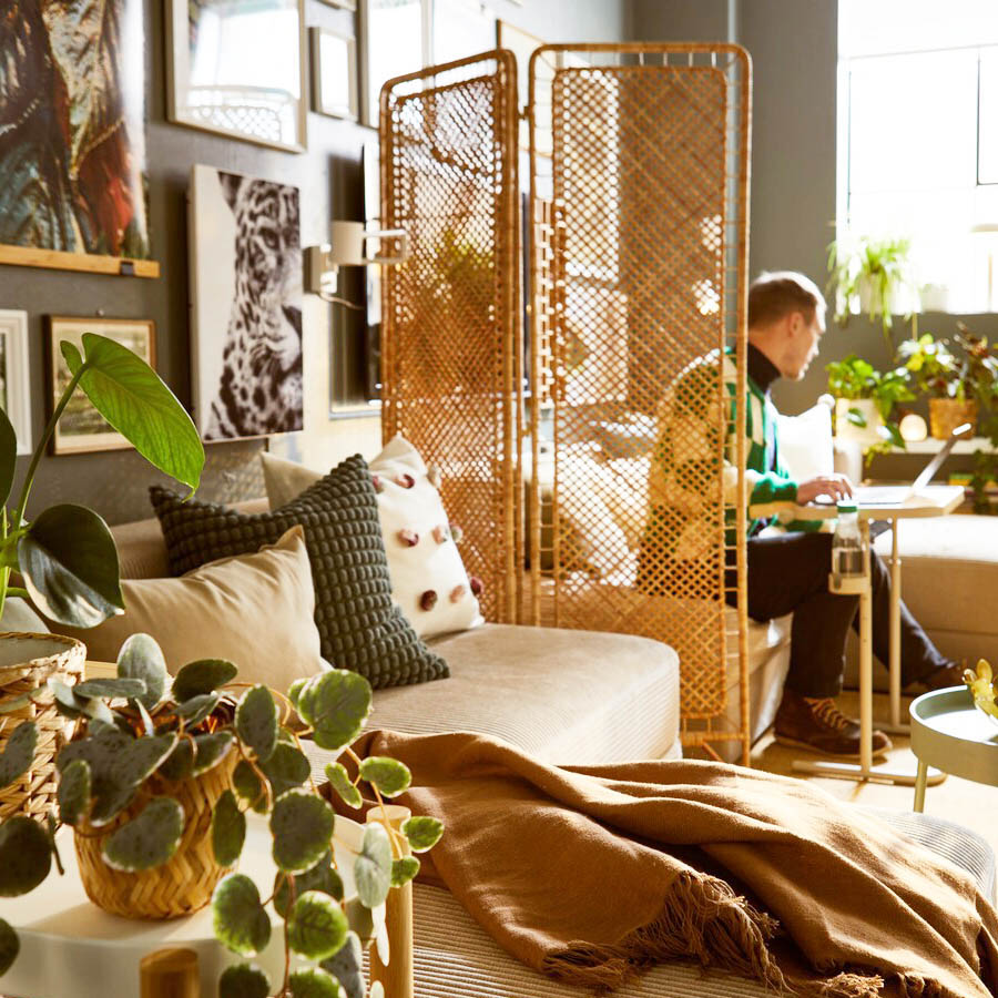 Even with just one room, private spaces can be created through clever design and layout.